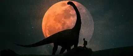  عکس ماه