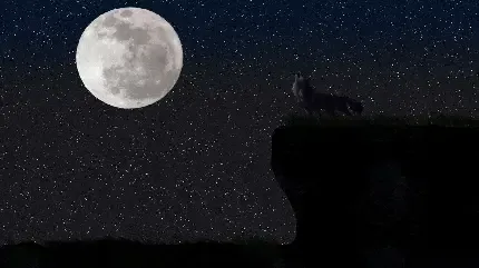  عکس ماه
