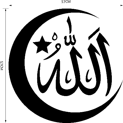  عکس ماه