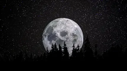  عکس ماه