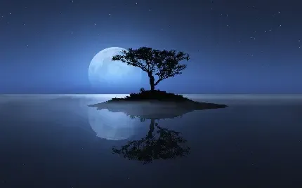  عکس ماه