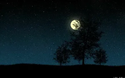  عکس ماه