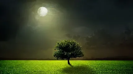  عکس ماه