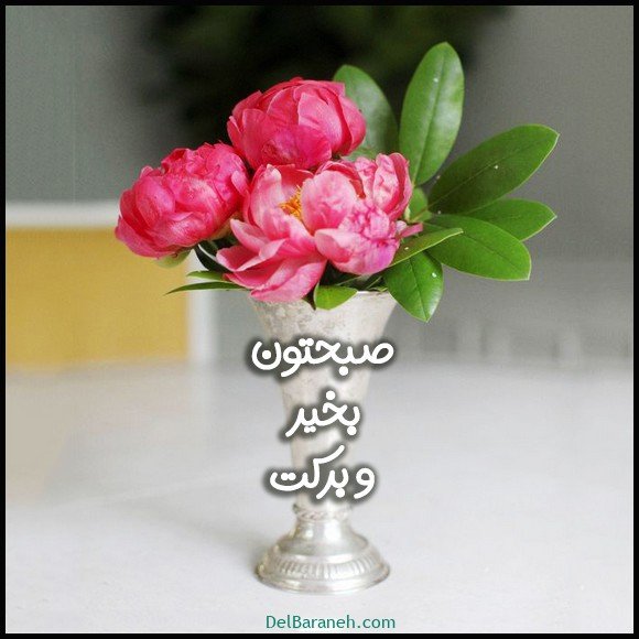  عکس صبح بخیر باکلاس
