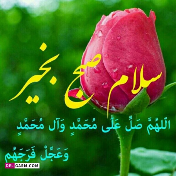  عکس صبح بخیر فانتزی
