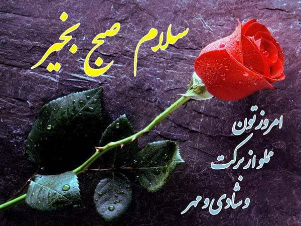 300 عکس صبح بخیر ساده