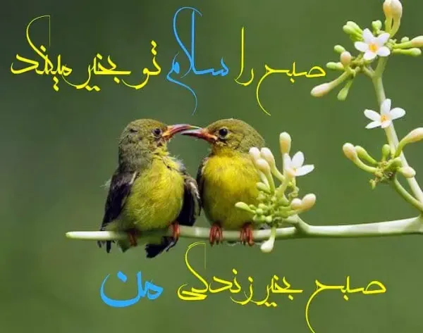  صبح بخیر پر انرژی برای عشقم
