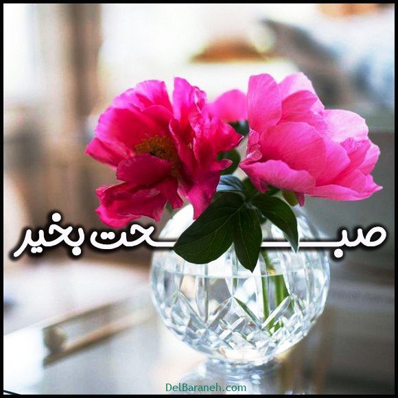  40 عکس صبح بخیر امروز