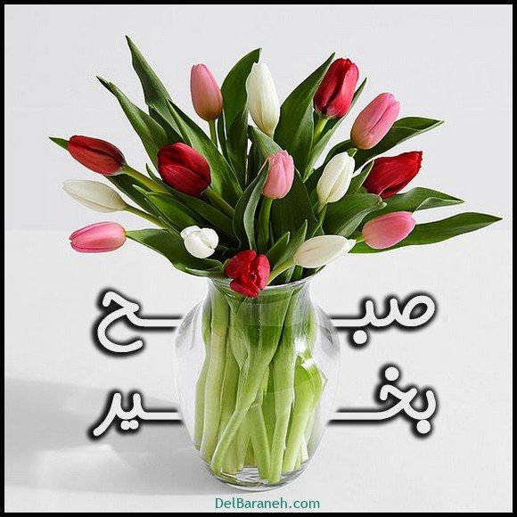 40 عکس صبح بخیر امروز
