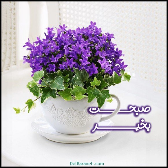  40 عکس صبح بخیر امروز