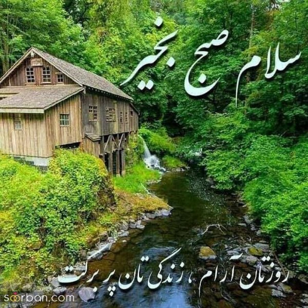  115 عکس سلام صبح بخیر جدید