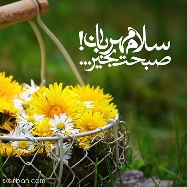  115 عکس سلام صبح بخیر جدید