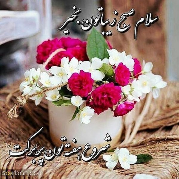  115 عکس سلام صبح بخیر جدید