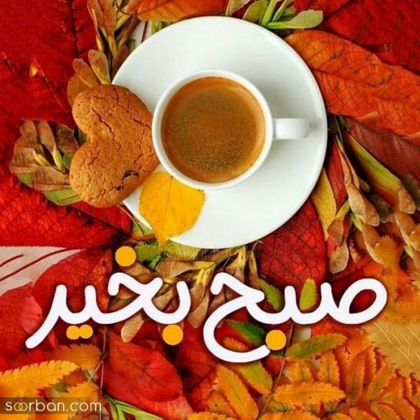  115 عکس سلام صبح بخیر جدید