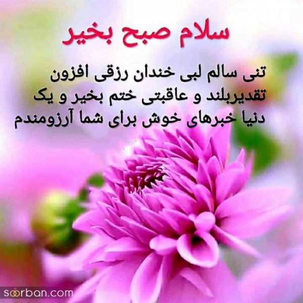  115 عکس سلام صبح بخیر جدید