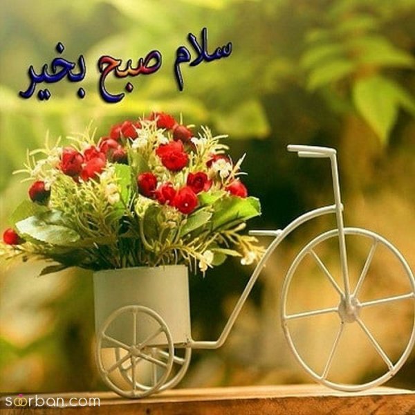  115 عکس سلام صبح بخیر جدید