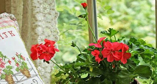  عکس متن صبح بخیر غمگین