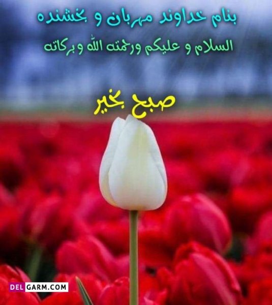  23 عکس سلام صبح بخیر جدید۱۴۰۰