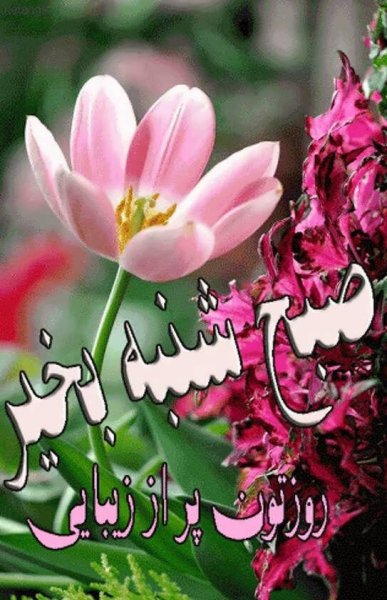  عکس و متن صبح بخیر اول هفته