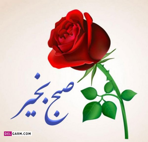  عکس و متن صبح بخیر برای استوری