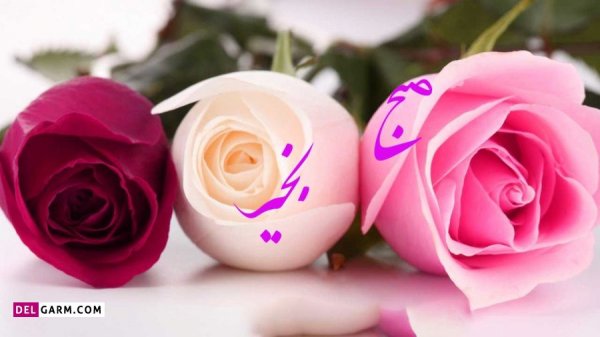  عکس برای صبح بخیر بدون متن