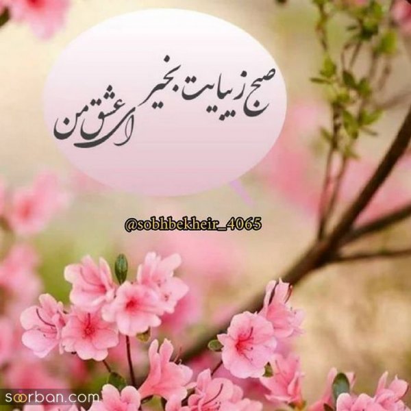  عکس های صبح بخیری