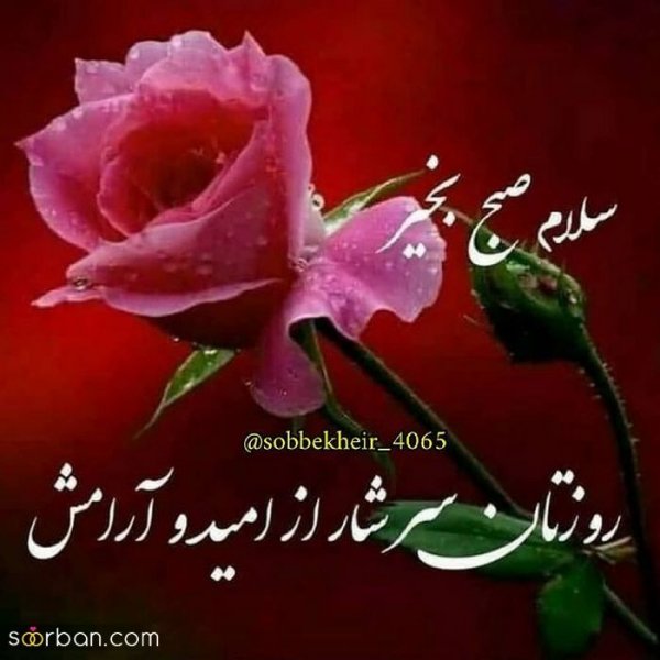  عکس های صبح بخیری