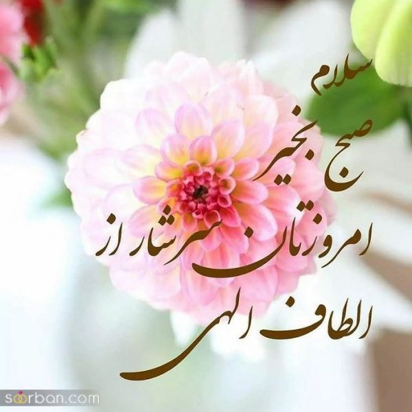  تصاویر صبح بخیر