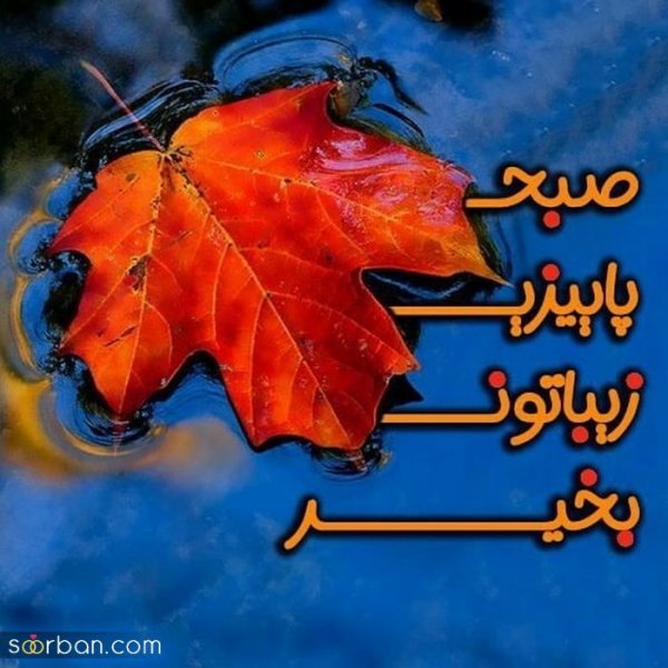 عکس صبح بخیر بدون متن