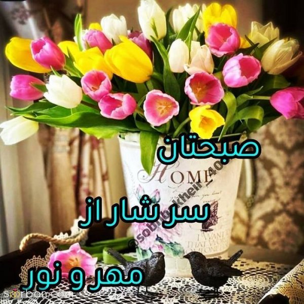  عکس صبح بخیر بدون متن