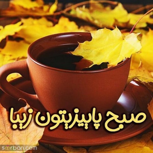  متن صبح بخیر با عکس