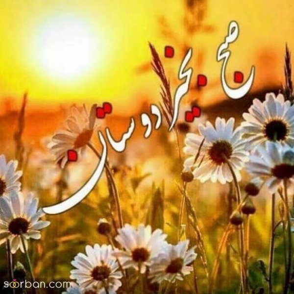  متن صبح بخیر با عکس