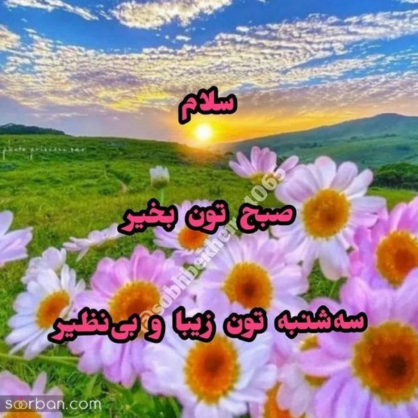  متن صبح بخیر با عکس