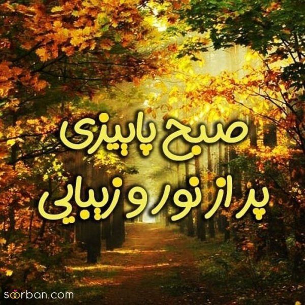  متن صبح بخیر با عکس گل