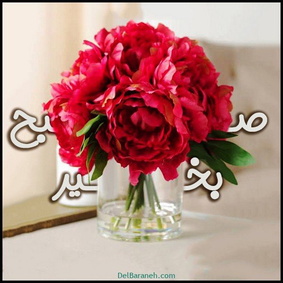  عکس سلام صبح بخیر با گل محمدی