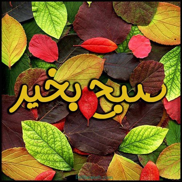  عکس و متن صبح بخیر پاییزی