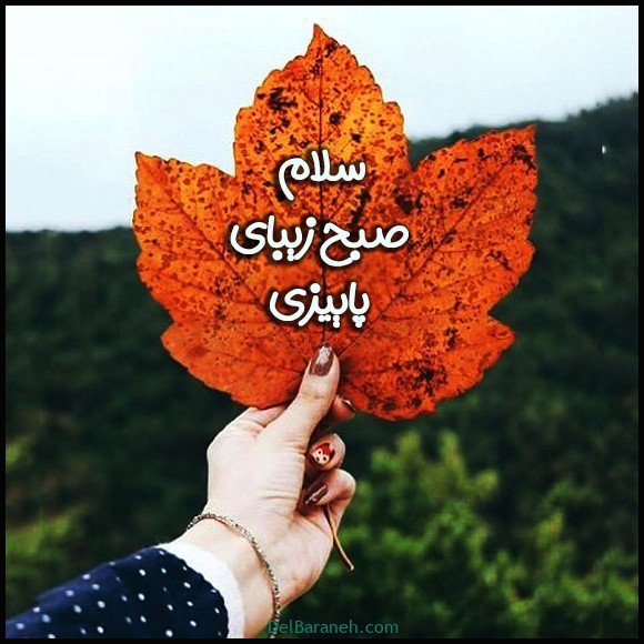  عکس و متن صبح بخیر پاییزی