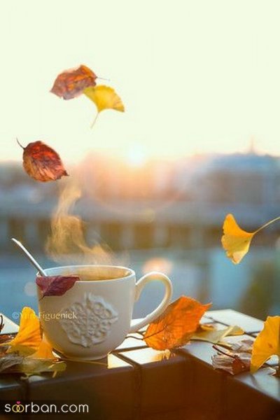  عکس صبح بخیر پاییزی زیبا