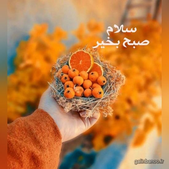  عکس صبح بخیر زیبا بدون متن