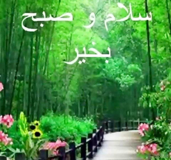  عکس طبیعت با متن صبح بخیر