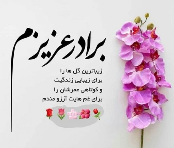  عکس تبریک تولد برادر از طرف خواهر