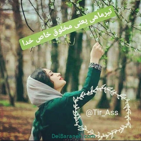  عکس تولد تیر ماهی