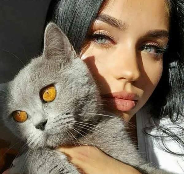  عکس پروفایل گربه و دختر غمگین