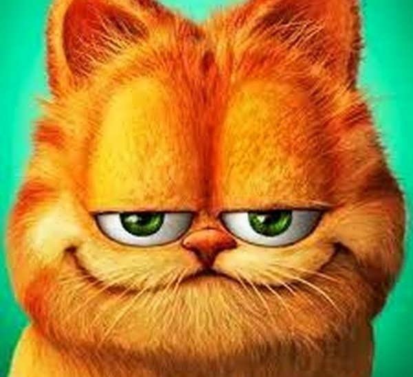  عکس گارفیلد برای پروفایل با کیفیت