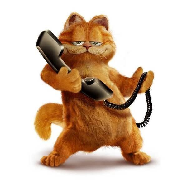  عکس گارفیلد کیوت