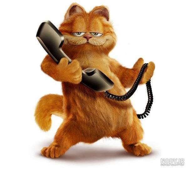  عکس گارفیلد و اودی