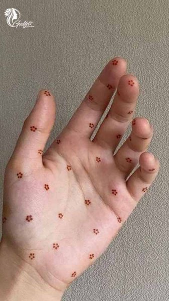  نقشه هنا