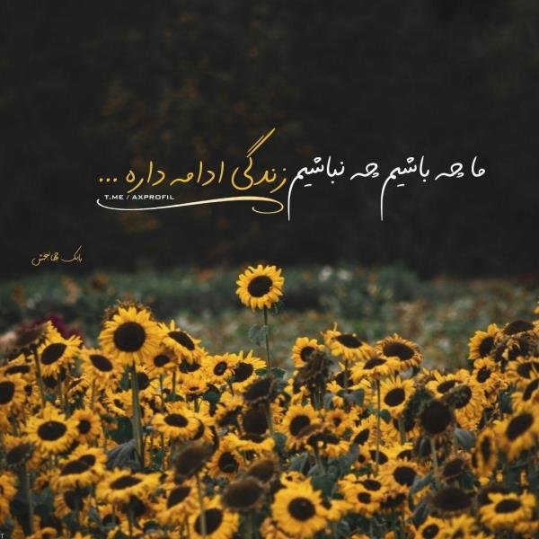  عکس پروفایل شاد و مفهومی