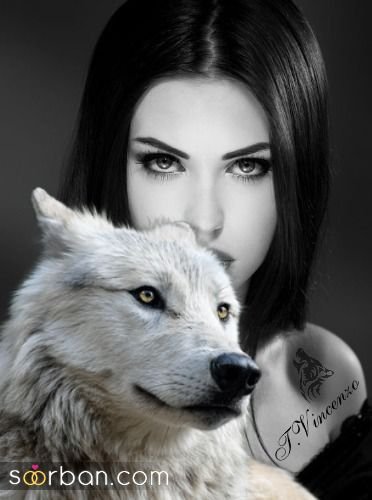  عکس پروفایل پسرانه لاتی گرگ سیاه