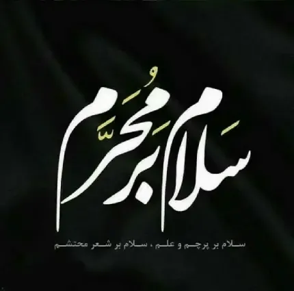  عکس حرم امام حسین برای صفحه گوشی با کیفیت بالا
